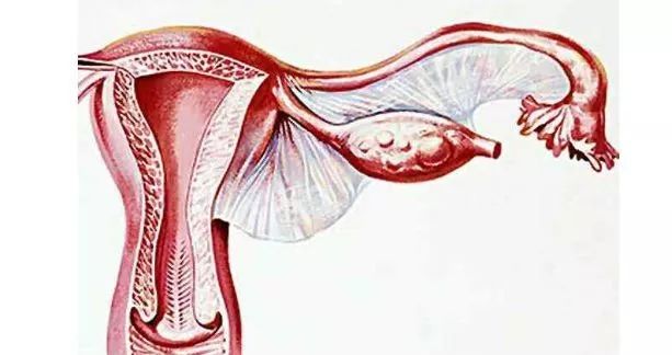 女人身体有这5个特征，说明是易孕体质，基本上“一碰就孕”