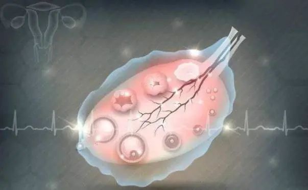 如何找准排卵日？月经后10天，3个排卵信号不要错过，祝你快速怀孕