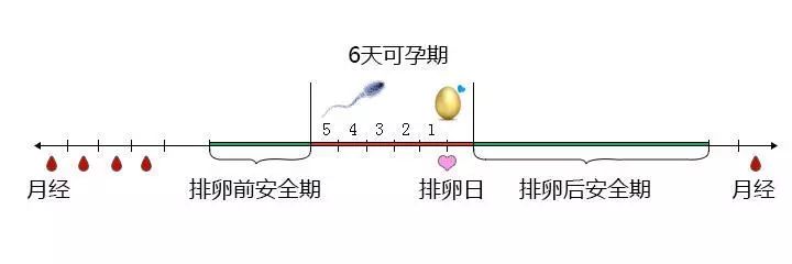 备孕却怀不上，教你5个小妙招，助您好“孕”滚滚来