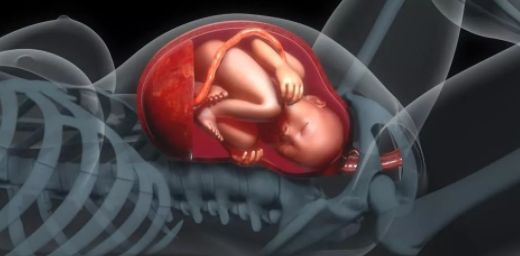 孕期这6种“信号”，可以判断肚子里是女宝还是男宝，都说准！