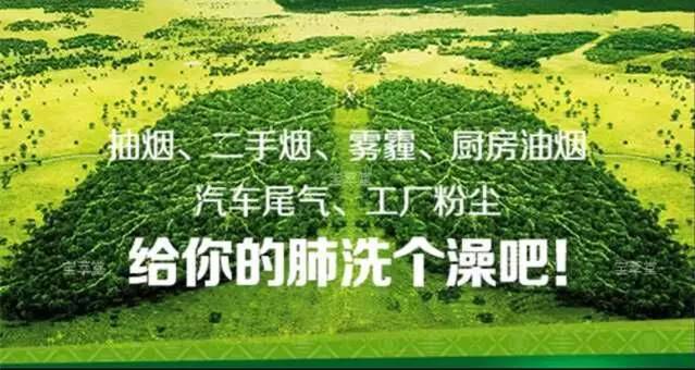 雾霾天气怎么保护自己的肺！