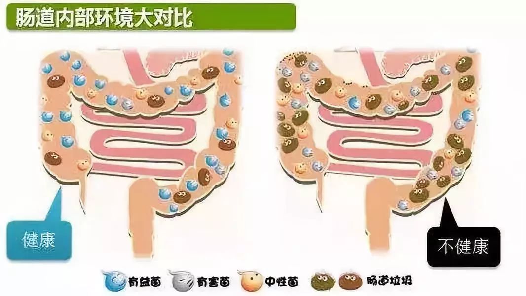 用“生姜敷肚脐”，坚持一段时间后，身体悄悄发生这4个变化！