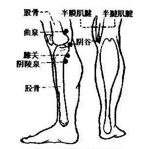 拍打“神奇七点”，能让你“脱胎换骨”