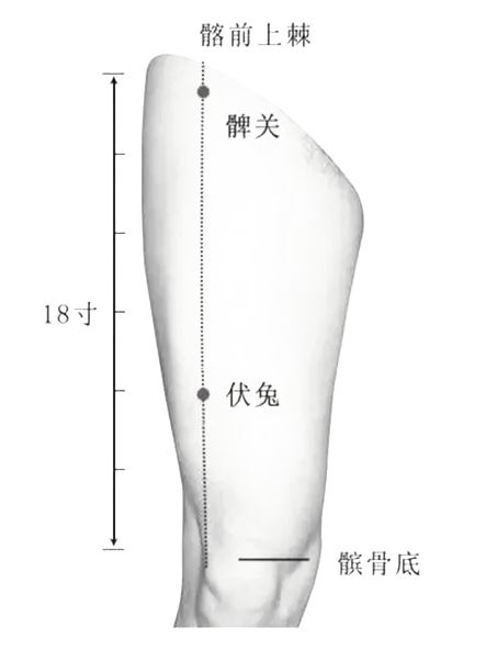 血为气之母，气为血之帅