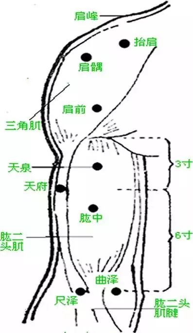 手把手教学，十大常见病的穴位按摩疗法！