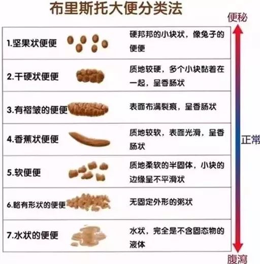 怎么让便便排的通畅