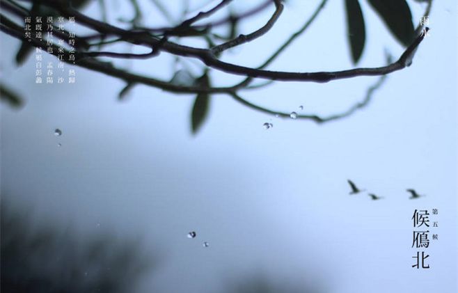 雨水节气养生