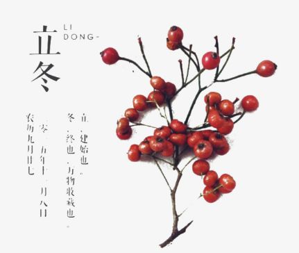 廿四节气-立冬|滋阴潜阳、填精补髓