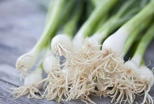 这五种蔬菜的根，是健康的好帮手