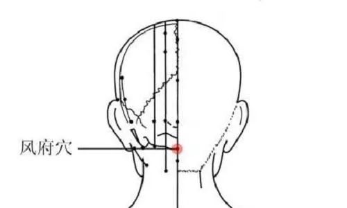 身体有个天然降压穴、降糖穴，简单易操作