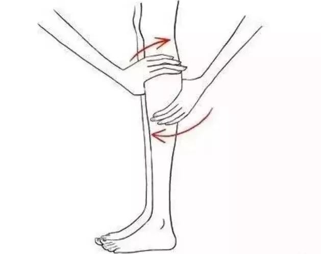双腿是身体的交通枢纽