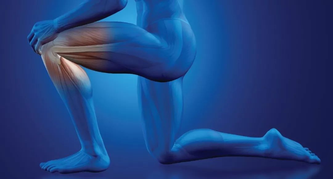 保护膝关节，坚持每天练这4个动作！