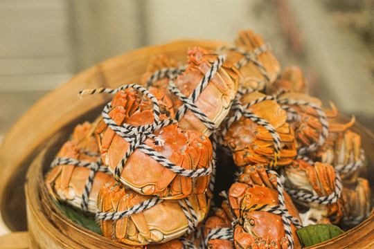秋风起，螃蟹肥，又到一年吃蟹时！