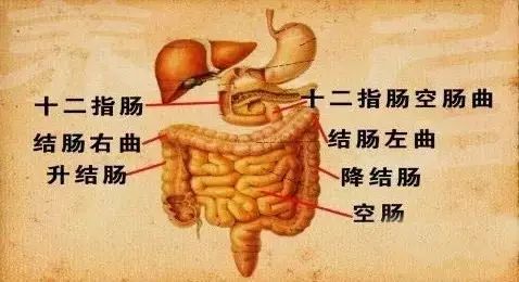 每天晚上抬脚15分钟，竟出现了意想不到的效果！