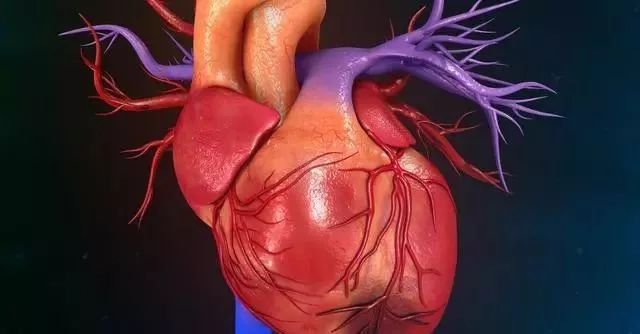 心肌梗死应该怎么样去预防呢？