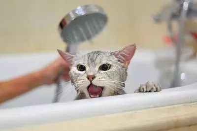洗澡时身上搓出的“泥”到底是什么？
