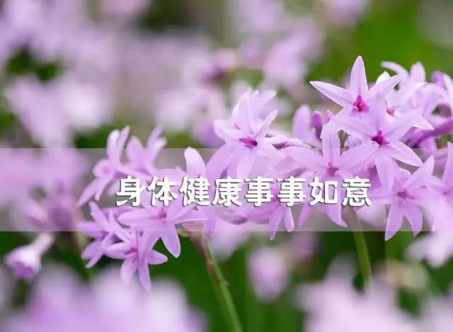 中国健康养生堂祝天下女人‘’三八节‘’快乐！