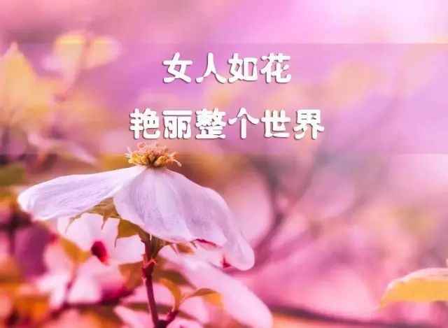 中国健康养生堂祝天下女人‘’三八节‘’快乐！