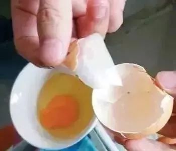 你随手就扔的鸡蛋壳，竟然这么好用？