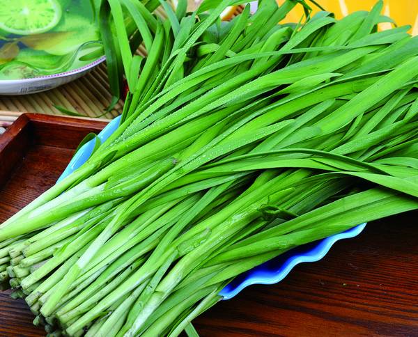 万物蔬菜养生宝，饮食多样经您调