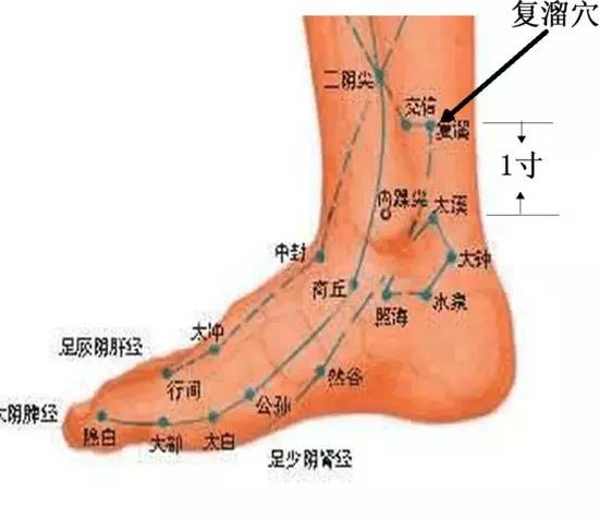 治疗手颤、手麻的方法