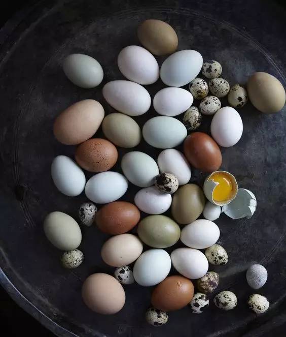 用鸡蛋做这些，家人都惊呆了，特别是第八个！