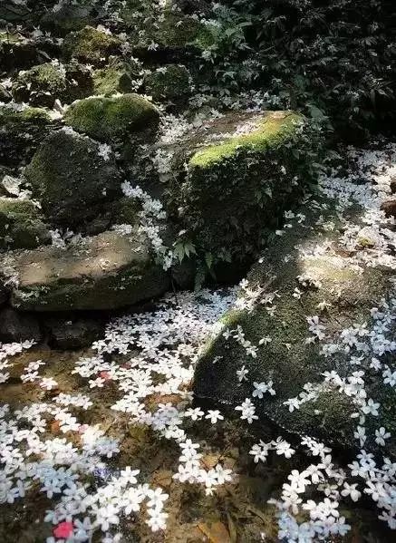 浅相遇 薄相知 淡相守 终难忘