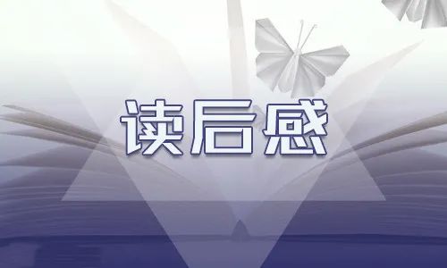 假如给我三天光明读后感优秀作文500字