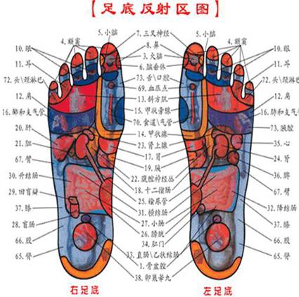 光脚养生，简单有效的不老术！人人都能做！