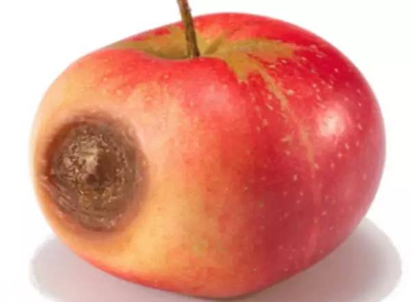 吃苹果不得不了解的四件事！