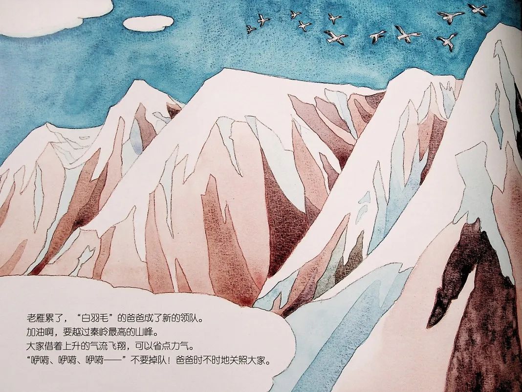国庆节绘本——《11只灰雁往南飞》，领略我国大好河山！
