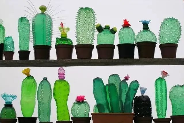 幼儿园废旧塑料瓶大变身，创意无限！