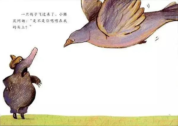 绘本故事《是谁嗯嗯在我的头上》，带领孩子认识各种动物的大小便