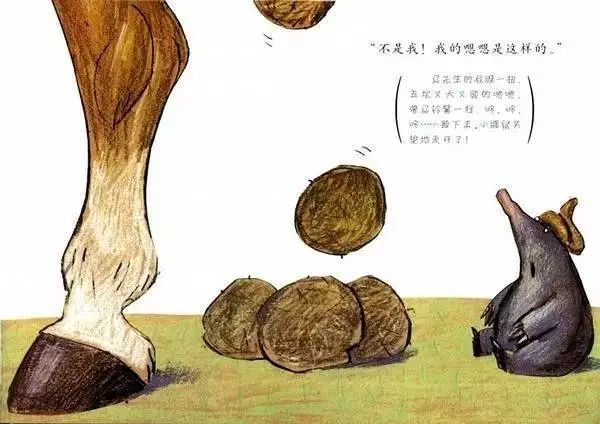 绘本故事《是谁嗯嗯在我的头上》，带领孩子认识各种动物的大小便
