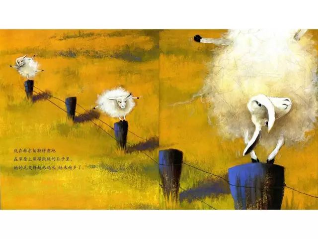 绘本故事《有个性的羊》，喜欢自己的与众不同