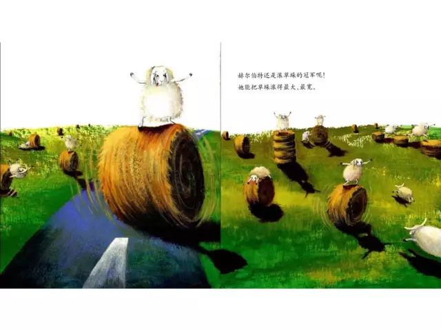 绘本故事《有个性的羊》，喜欢自己的与众不同