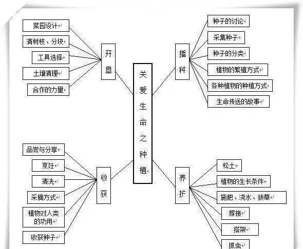 幼儿园关于春天的主题网络图（8个）