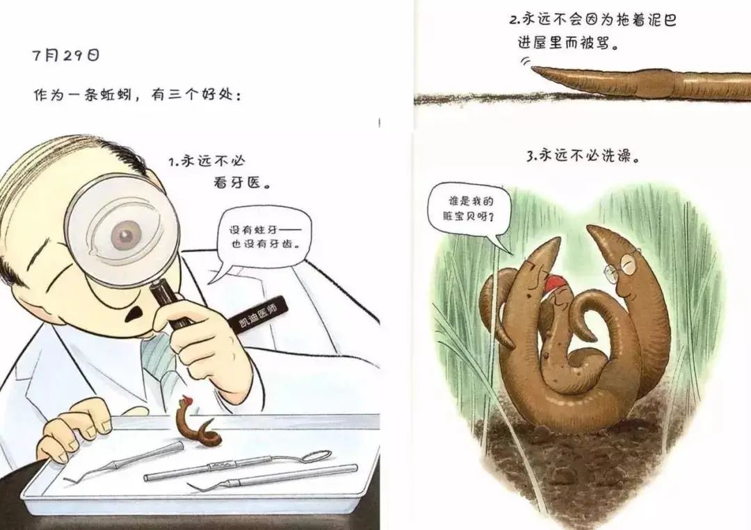 亲子阅读 || 绘本故事分享《蚯蚓的日记》，教孩子善于发现生活中的美