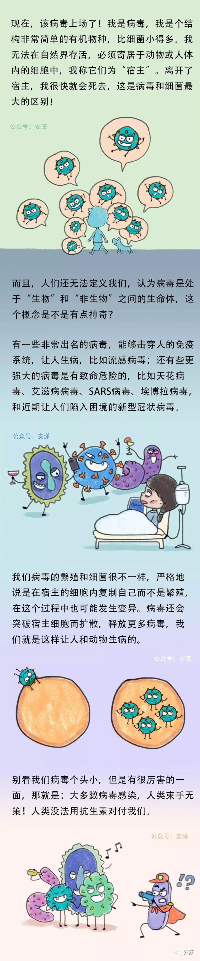 流感季，亲子阅读绘本《细菌和病毒的自述》，让孩子远离病菌少感冒
