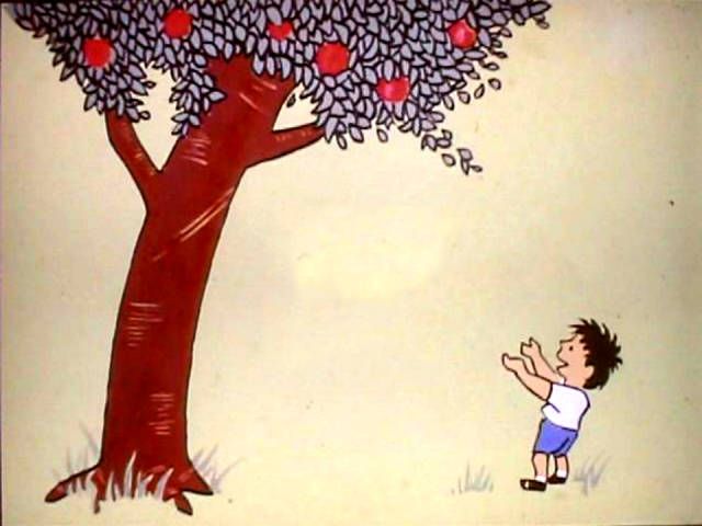感恩节 || 绘本故事分享《爱心树》，教孩子做一个感恩的人