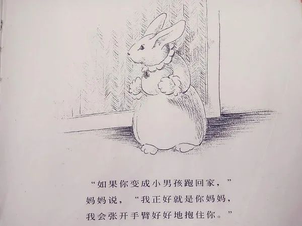 感恩节 || 绘本故事分享《逃家小兔》，感恩母爱