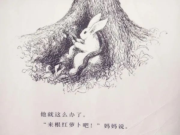 感恩节 || 绘本故事分享《逃家小兔》，感恩母爱