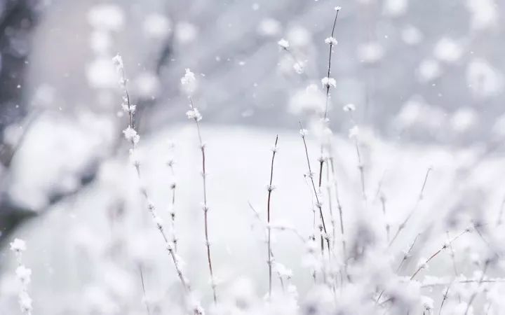 雪的 24 种别称，美哉今冬