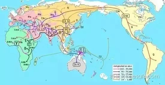中国人从何而来？ 解密人类迁移路线图