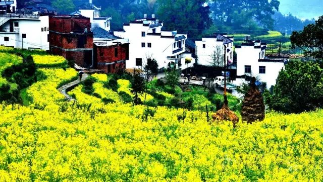 中国最美的18个春季赏花处，你最想去哪个？