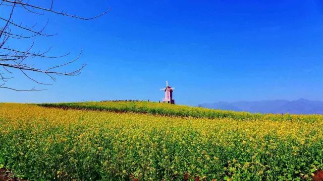 中国最美的18个春季赏花处，你最想去哪个？