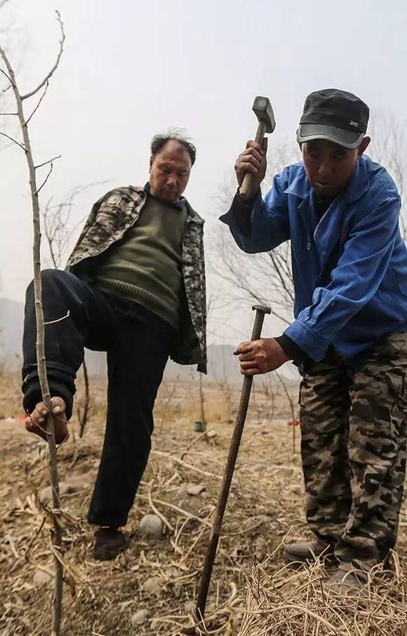 这两位中国农民做了啥？为什么CNN报道后他们会火遍全世界！？