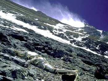 触目惊心！珠穆朗玛峰上无人掩埋的尸体，成为登山者的路标