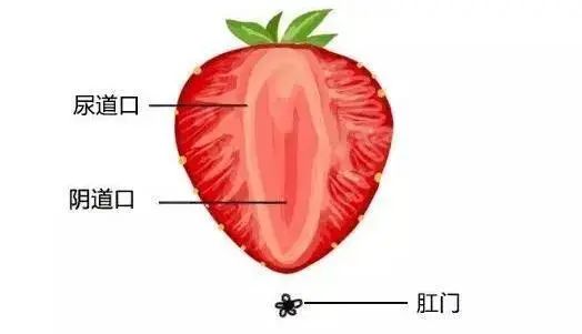 私处痒、啪啪痛、小心这个问题找上你！75%女性都中过招！