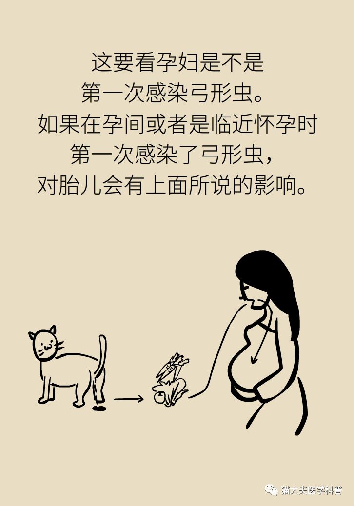 怀孕了到底能不能养猫猫狗狗？